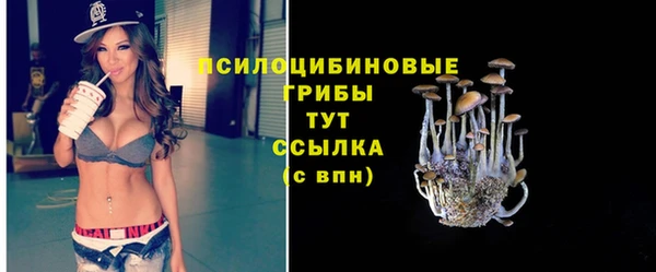 гашик Шадринск