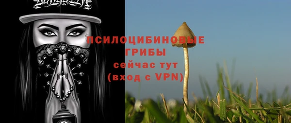 спиды Богданович