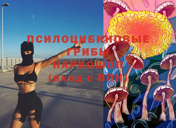 спиды Богданович