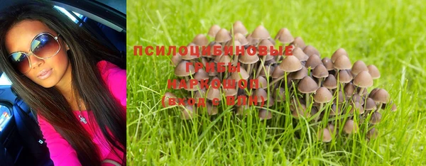 тгк Беломорск