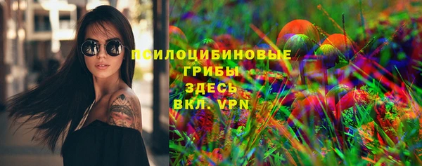 спиды Богданович
