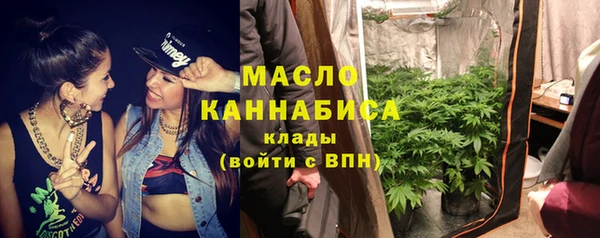 ECSTASY Богородицк