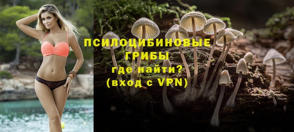ECSTASY Богородицк