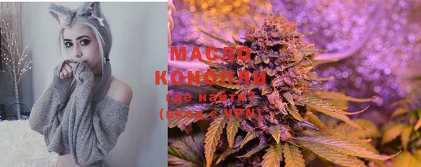 спиды Богданович