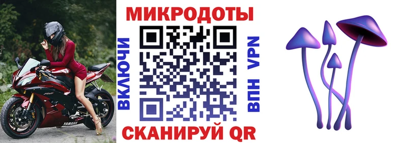 omg ТОР купить наркотик Улан-Удэ Псилоцибиновые грибы мицелий