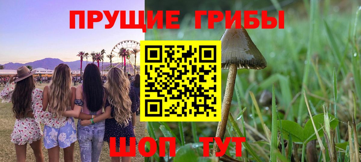 Псилоцибиновые грибы прущие грибы  Вход с VPN  Улан-Удэ 